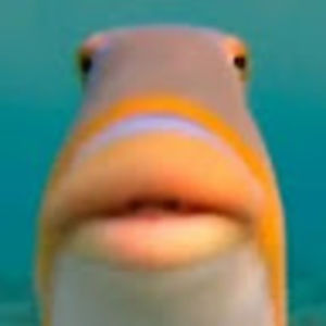 Meet your Posher, Monireh